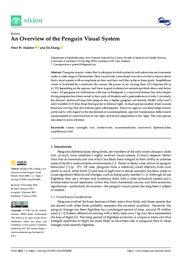 (PDF) An Overview of the Penguin Visual System