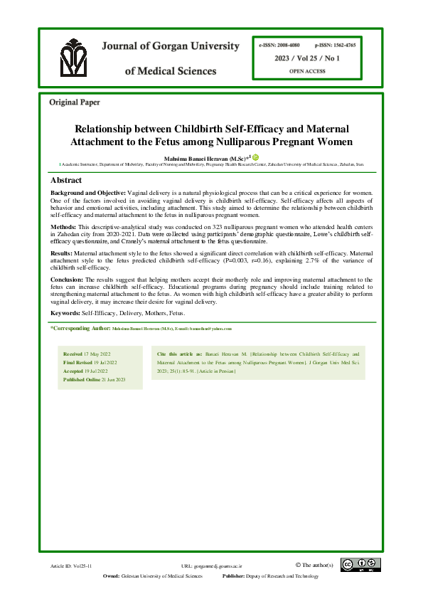 (PDF) Relationship between Childbirth Self-Efficacy and Maternal ...