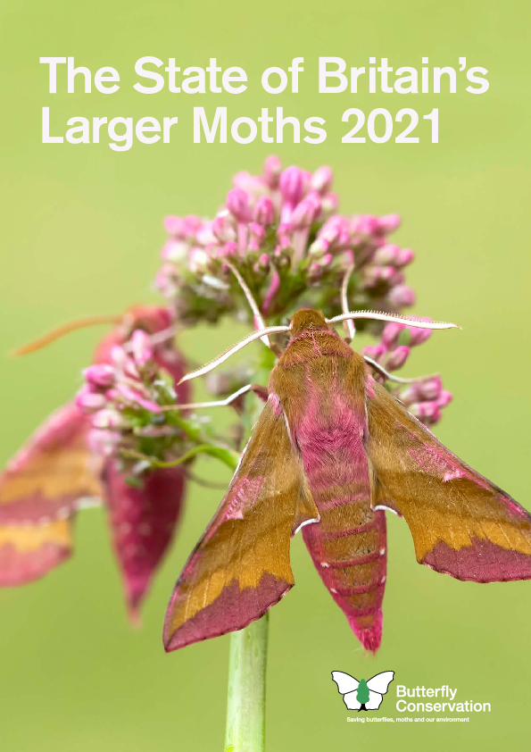 (PDF) The State of Britain’s Larger Moths 2021