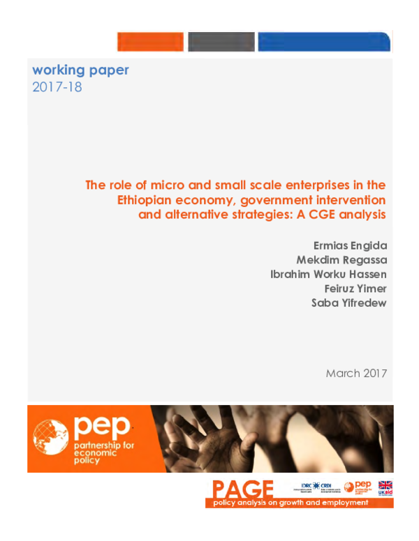 (PDF) The Role of Micro and Small Scale Enterprises in the Ethiopian ...