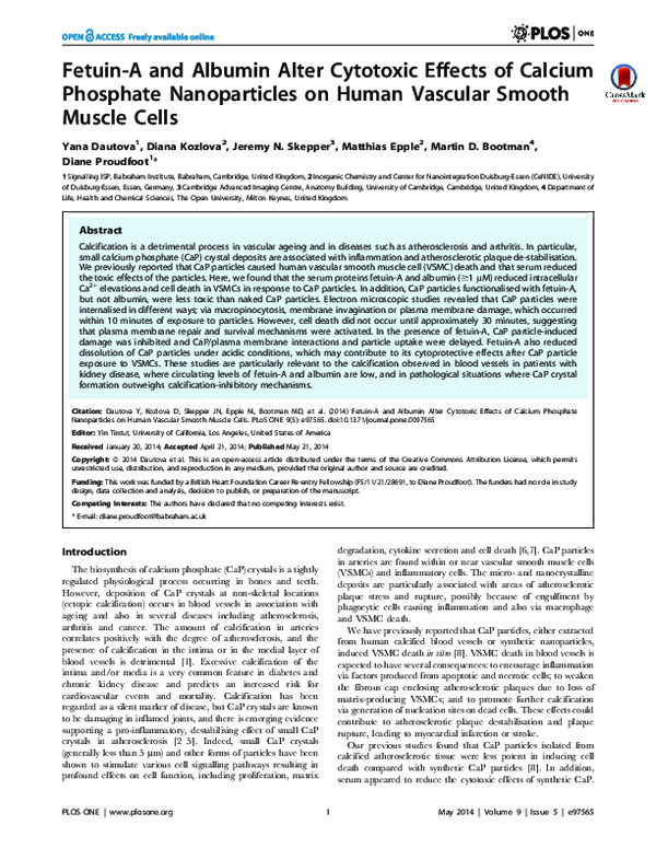 (PDF) Fetuin-A and Albumin Alter Cytotoxic Effects of Calcium Phosphate ...