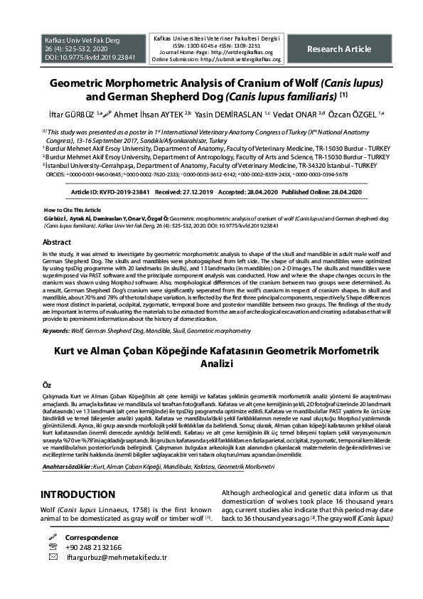 (PDF) Kurt ve Alman Çoban Köpeğinde Kafatasının Geometrik Morfometrik ...