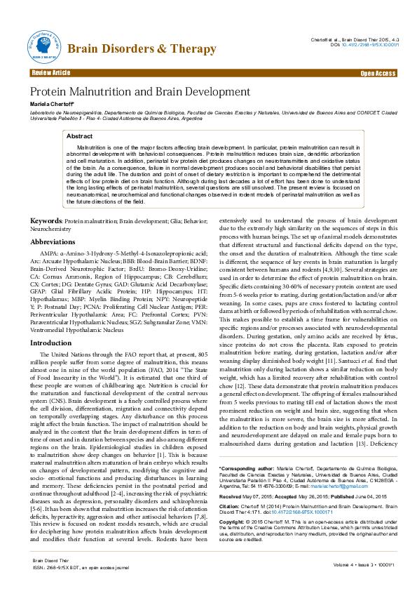 (PDF) Protein Malnutrition and Brain Development