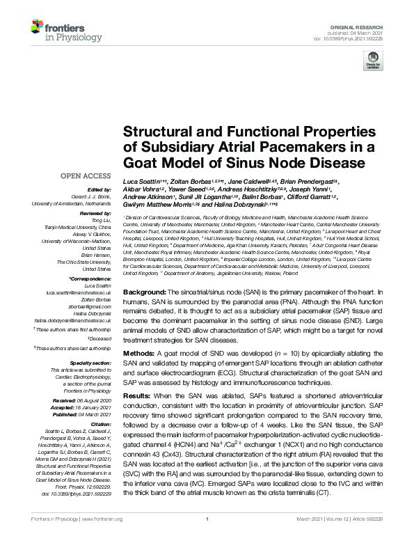 (PDF) Structural and Functional Properties of Subsidiary Atrial ...