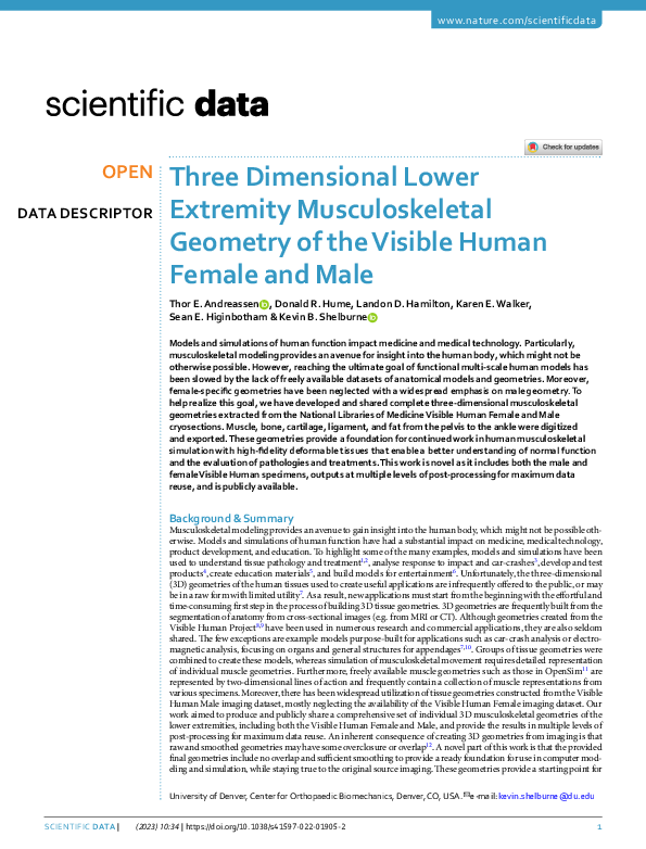 (PDF) Three Dimensional Lower Extremity Musculoskeletal Geometry of the ...