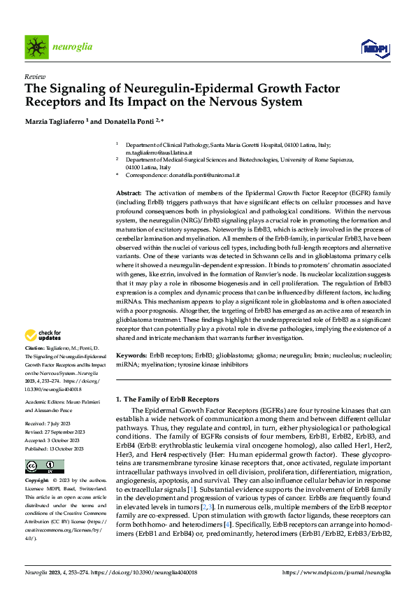 (PDF) The Signaling of Neuregulin-Epidermal Growth Factor Receptors and ...