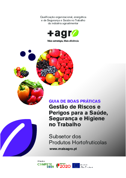Guia de Boas Práticas: Gestão de Riscos e Perigos para a Saúde, Segurança e Higiene no Trabalho