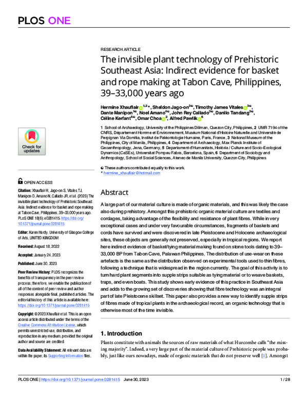 (PDF) The invisible plant technology of Prehistoric Southeast Asia ...
