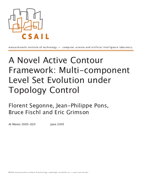 (PDF) A Novel Active Contour Framework. Multi-component Level Set ...