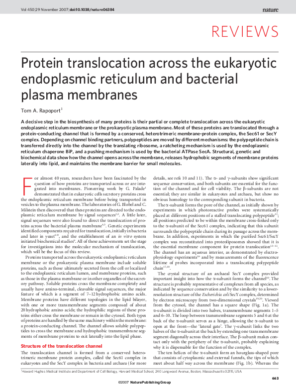 (PDF) Protein translocation across the eukaryotic endoplasmic reticulum ...