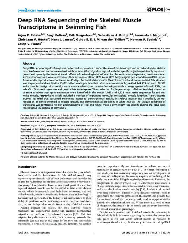 (PDF) Deep RNA Sequencing of the Skeletal Muscle Transcriptome in ...