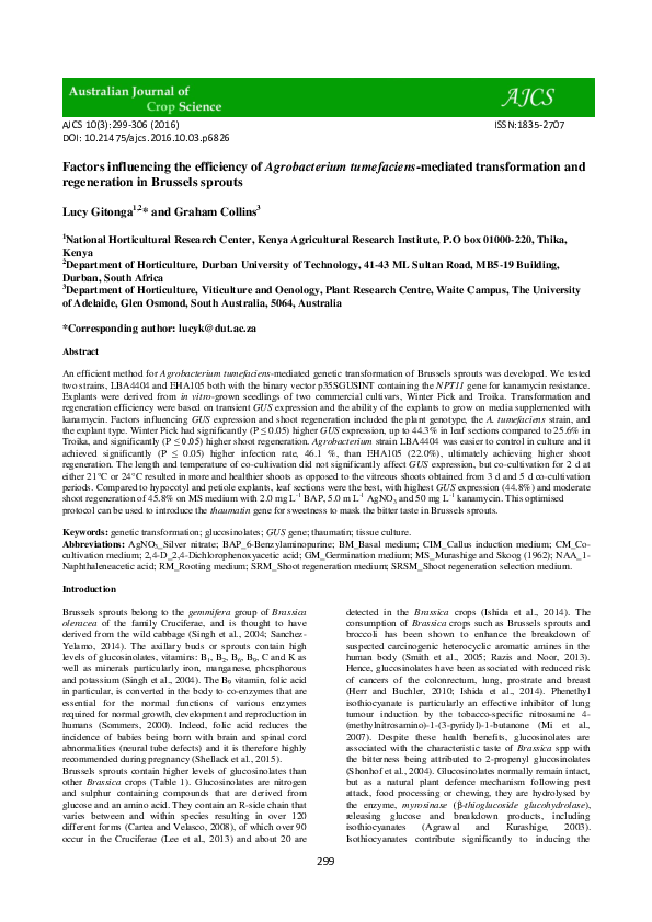 (PDF) Factors influencing the efficiency of Agrobacterium tumefaciens ...