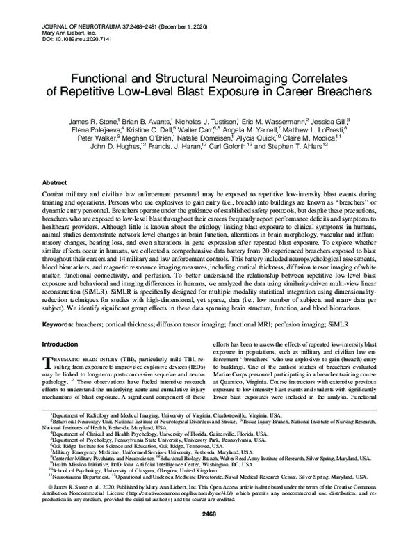 (PDF) Functional and Structural Neuroimaging Correlates of Repetitive ...