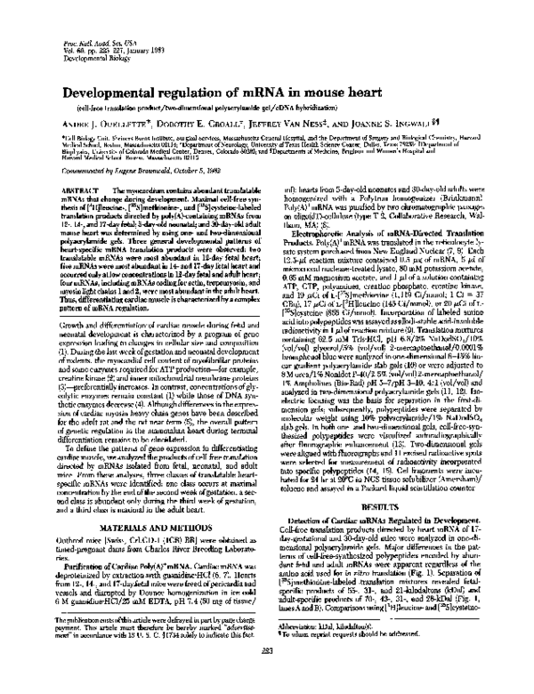 (PDF) Developmental regulation of mRNA in mouse heart