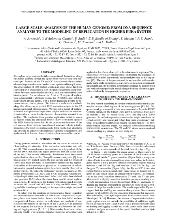 (PDF) Large-scale analysis of the human genome: From DNA sequence ...