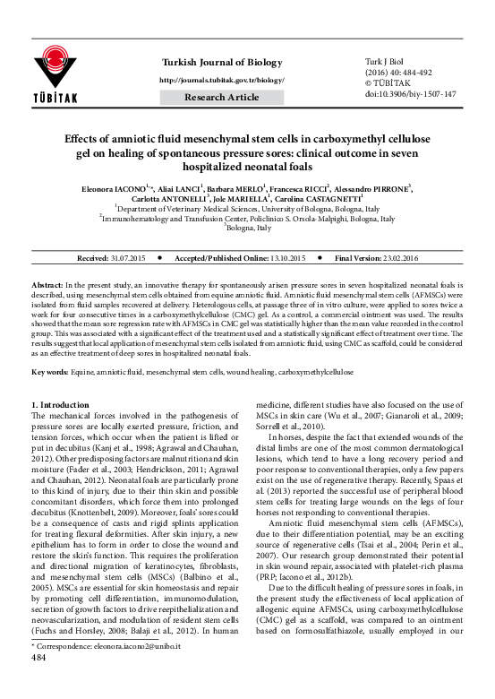 (PDF) Effects of amniotic fluid mesenchymal stem cells in carboxymethyl ...
