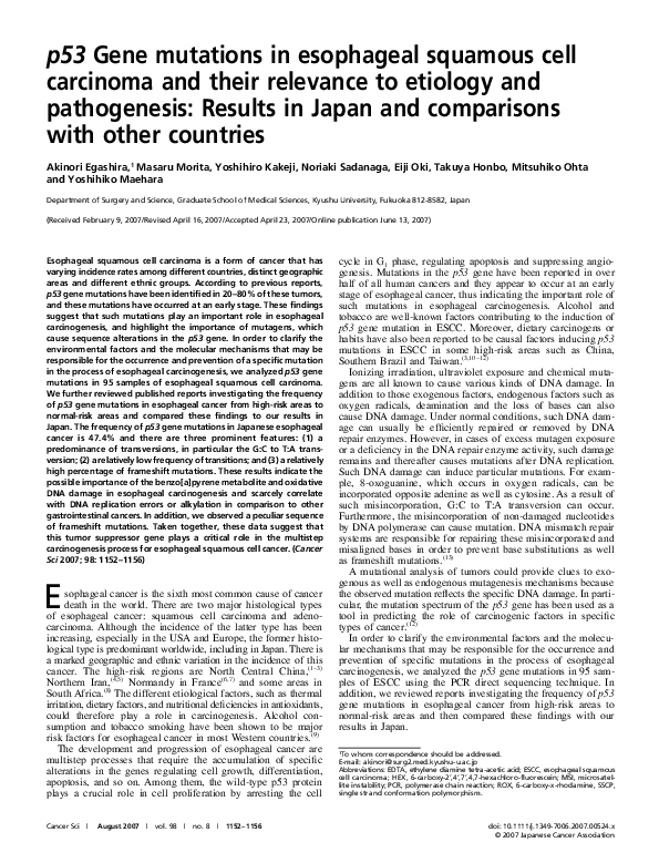 (PDF) p53 Gene mutations in esophageal squamous cell carcinoma and ...