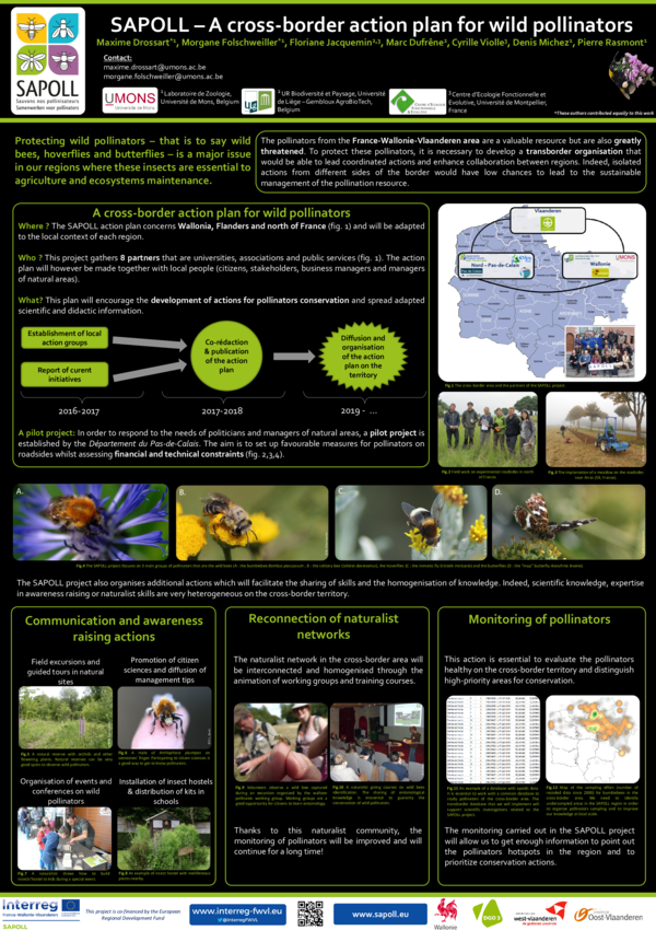 (PDF) SAPOLL : A cross-border action plan for wild pollinators