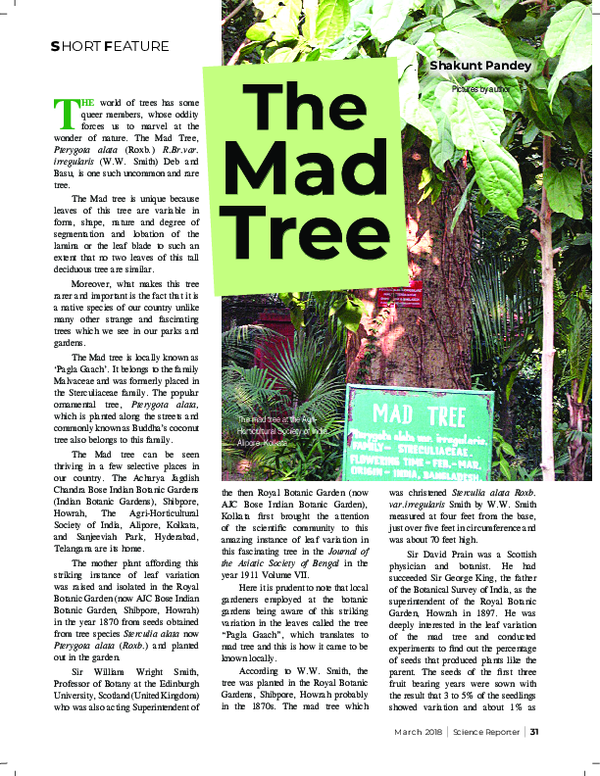 (PDF) The Mad Tree
