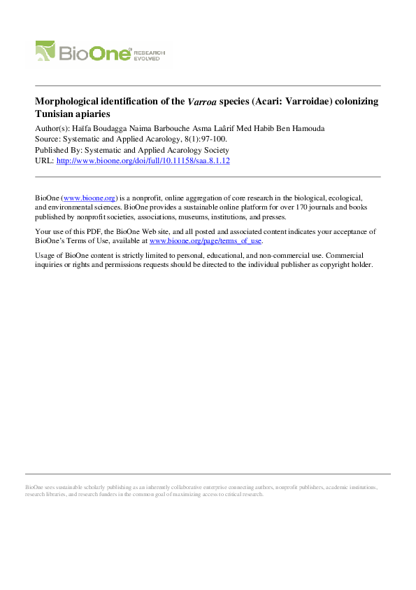 (PDF) Morphological identification of the Varroa species (Acari ...