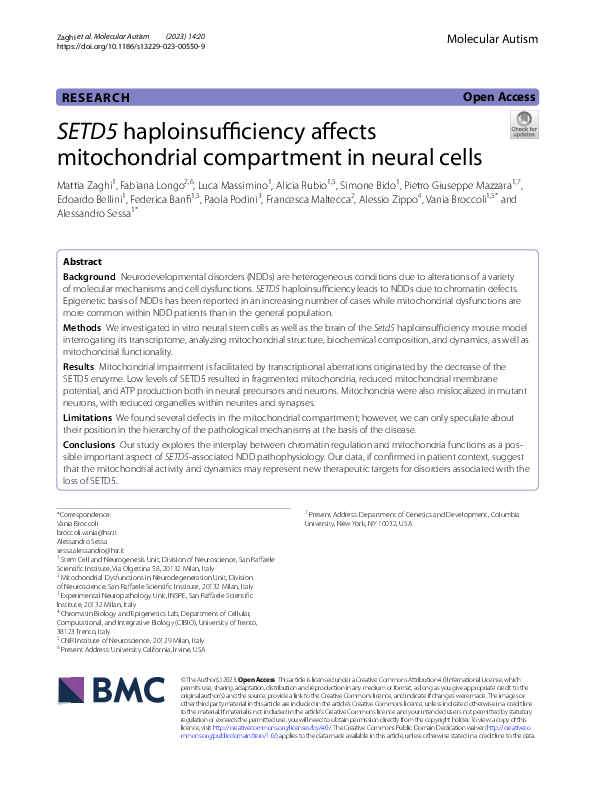 (PDF) SETD5 haploinsufficiency affects mitochondrial compartment in ...