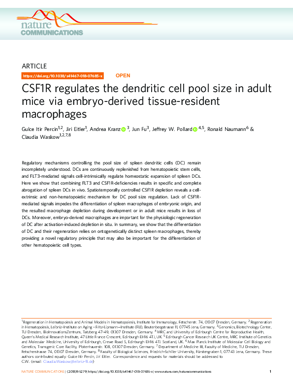 (PDF) CSF1R regulates the dendritic cell pool size in adult mice via ...