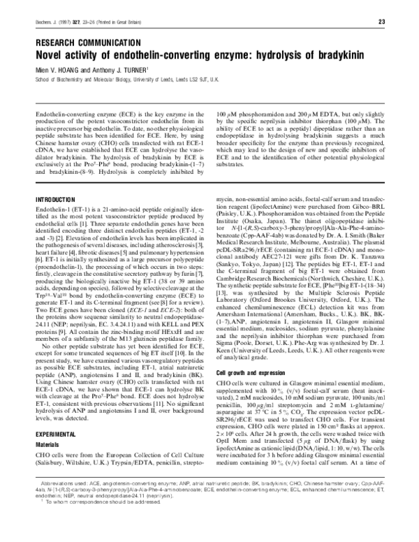 Novel activity of endothelin-converting enzyme: hydrolysis of bradykinin