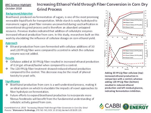 (PDF) Increasing ethanol yield through fiber conversion in corn dry ...