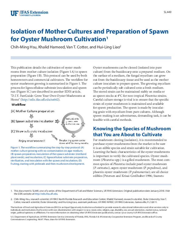 (PDF) Isolation of Mother Cultures and Preparation of Spawn for Oyster ...