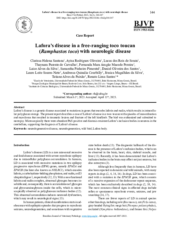 (PDF) Lafora's Disease in a Toco Toucan: A Case Report