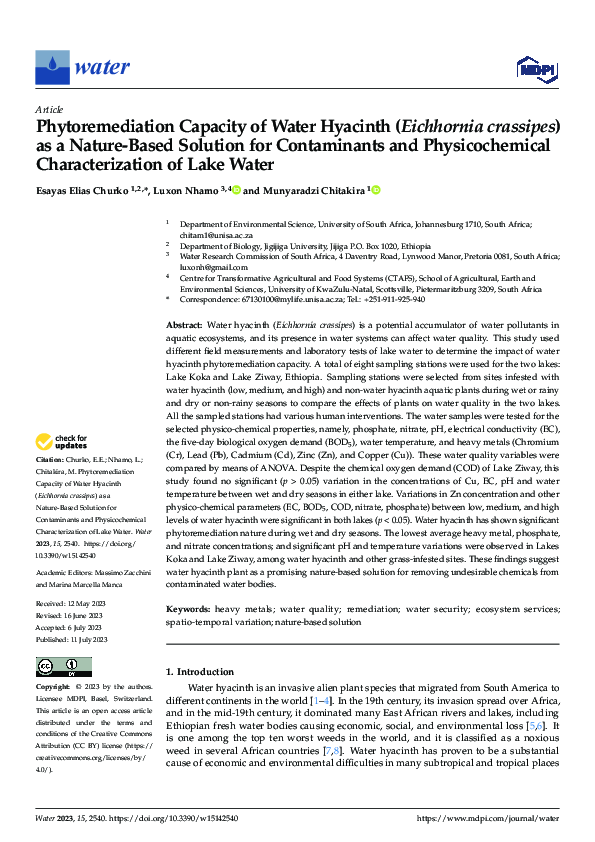 (PDF) Phytoremediation Capacity of Water Hyacinth (Eichhornia crassipes ...