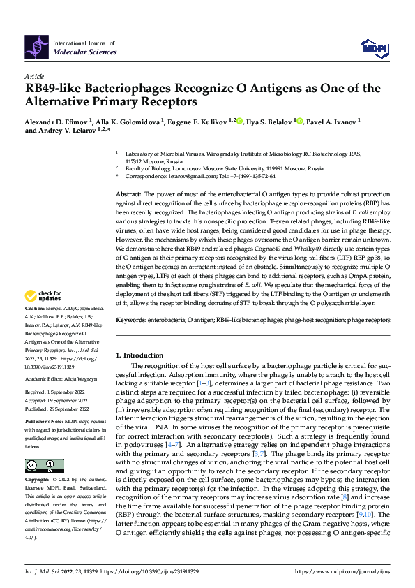 (PDF) RB49-like Bacteriophages Recognize O Antigens as One of the ...