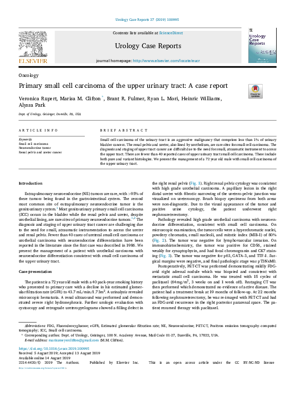 (PDF) Primary small cell carcinoma of the upper urinary tract: A case ...