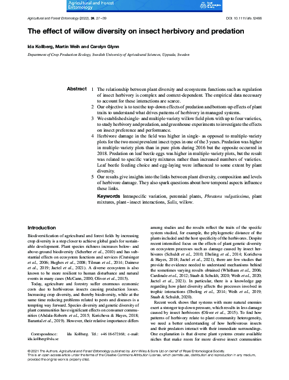 (PDF) The effect of willow diversity on insect herbivory and predation