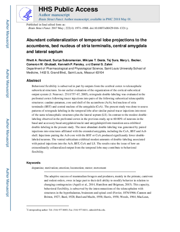 (PDF) Abundant collateralization of temporal lobe projections to the ...