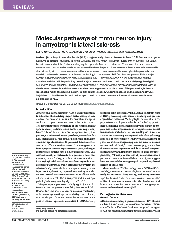 (PDF) Molecular pathways of motor neuron injury in amyotrophic lateral ...