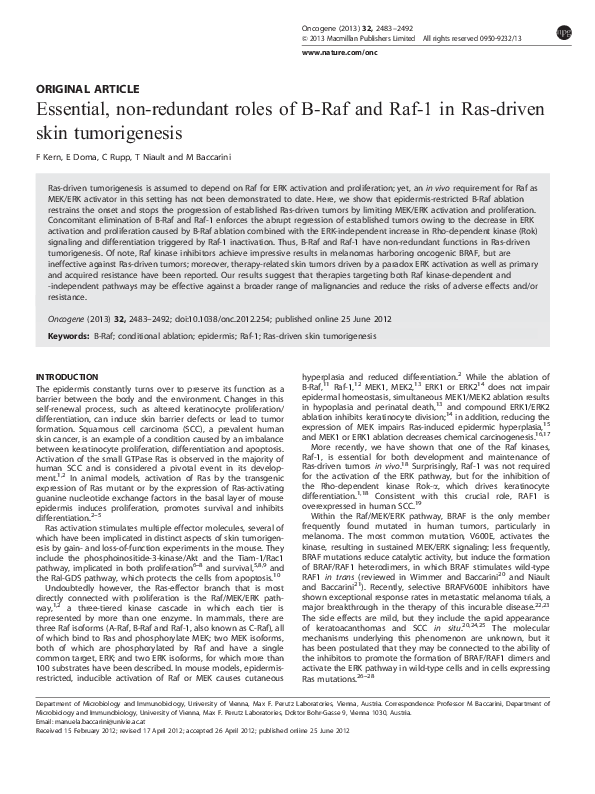 (PDF) Essential, non-redundant roles of B-Raf and Raf-1 in Ras-driven ...