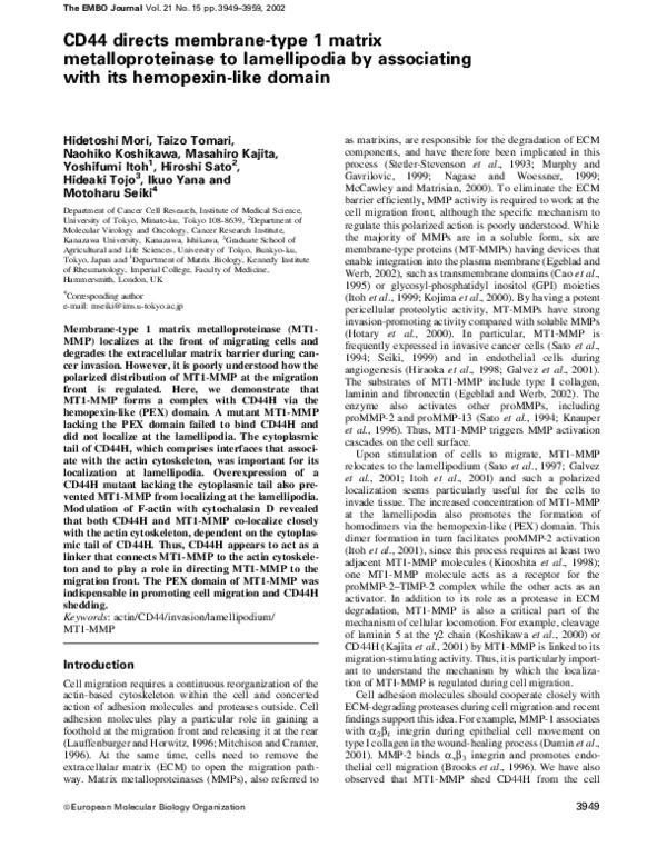 (PDF) CD44 directs membrane-type 1 matrix metalloproteinase to ...
