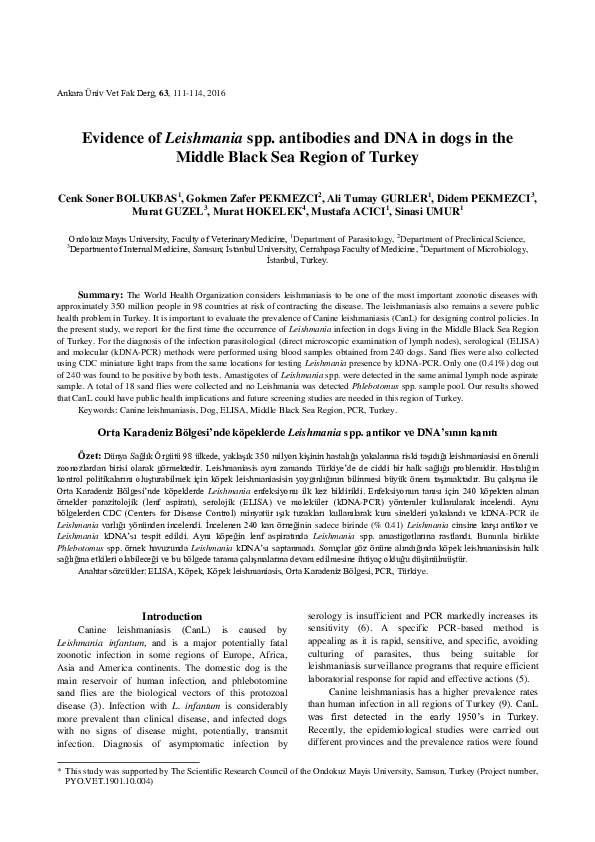 Evidence of Leishmania spp. antibodies and DNA in dogs in the Middle Black Sea Region of Turkey