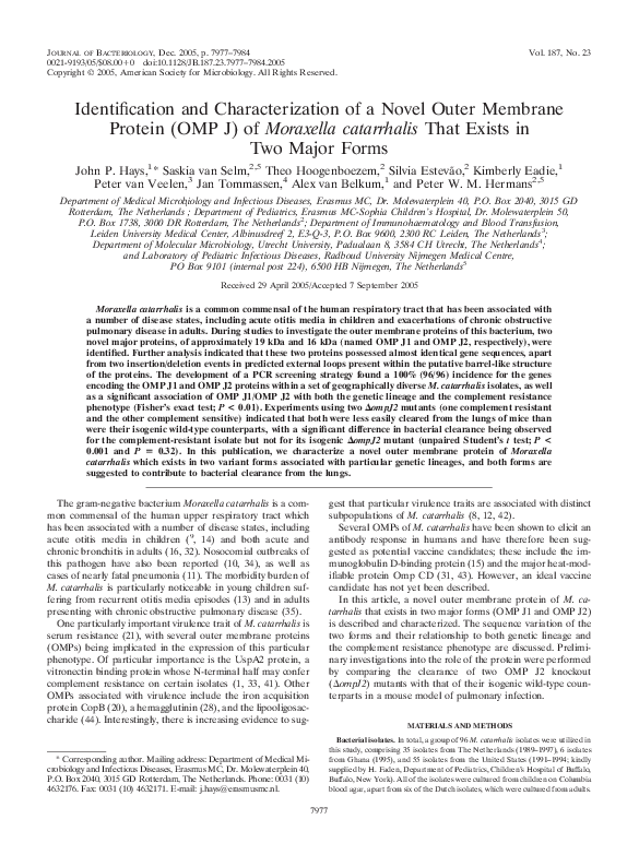 (PDF) Identification and Characterization of a Novel Outer Membrane ...