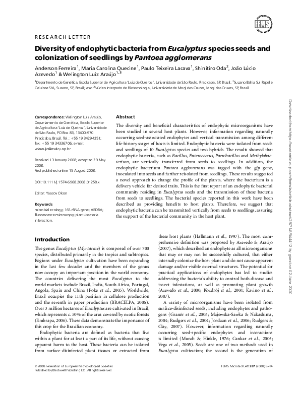 (PDF) Diversity of endophytic bacteria from Eucalyptus species seeds ...