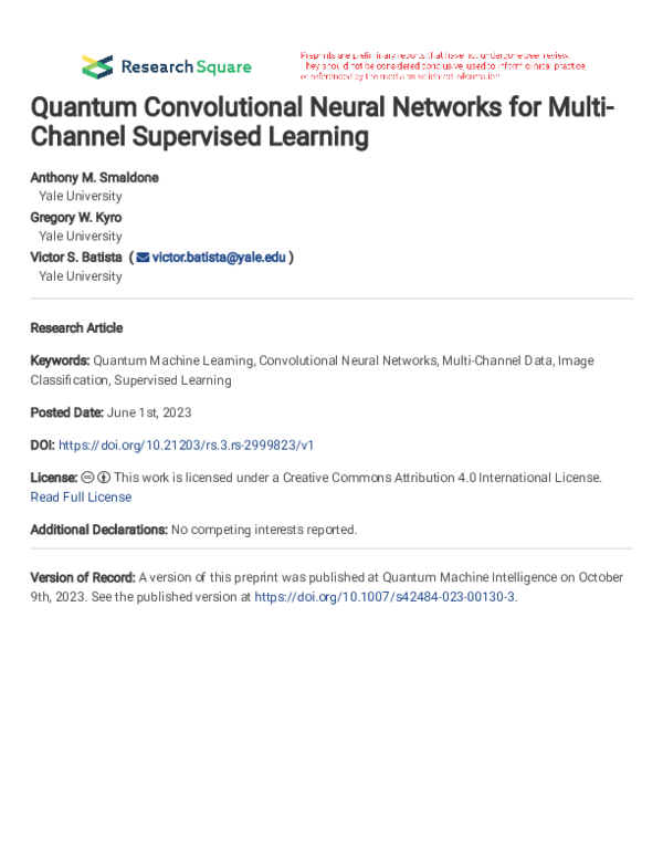 (PDF) Quantum Convolutional Neural Networks for Multi-Channel ...