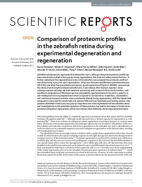 (PDF) Comparison of proteomic profiles in the zebrafish retina during ...