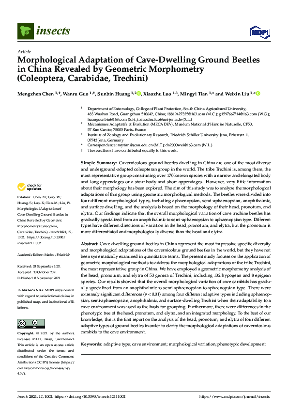 (PDF) Morphological Adaptation of Cave-Dwelling Ground Beetles in China ...