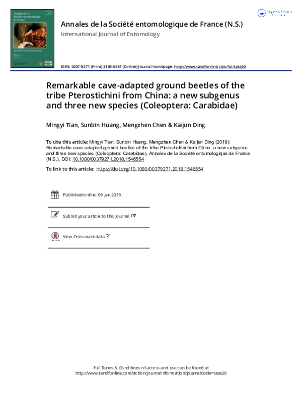 (PDF) Remarkable cave-adapted ground beetles of the tribe Pterostichini ...