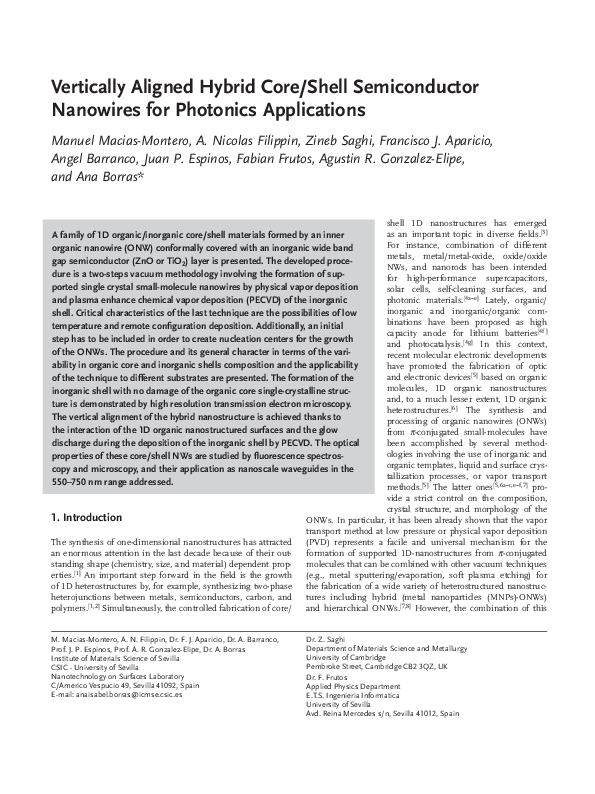 Vertically Aligned Hybrid Core/Shell Semiconductor Nanowires for Photonics Applications