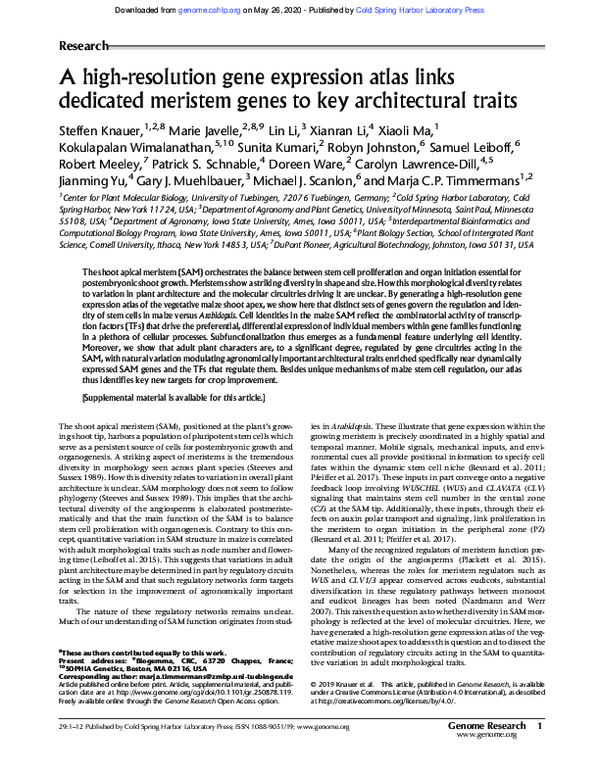 (PDF) A high-resolution gene expression atlas links dedicated meristem ...