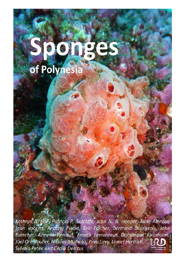(PDF) Sponges of Polynesia