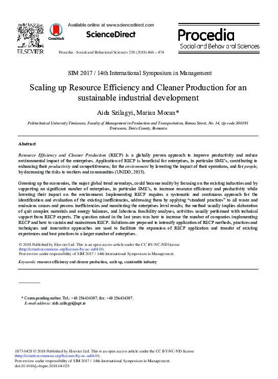 (PDF) Scaling up Resource Efficiency and Cleaner Production for an ...