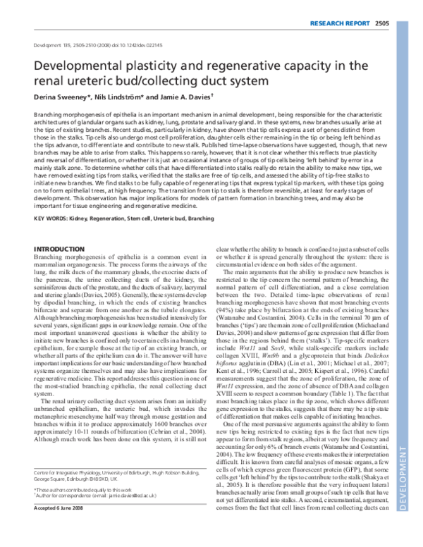 (PDF) Developmental plasticity and regenerative capacity in the renal ...
